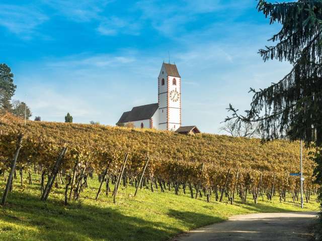 Winzergenossenschaft Hallau/Oberhallau