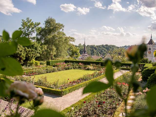 Rosengarten Munot