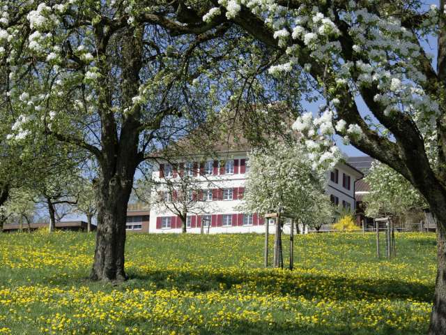 Berghof