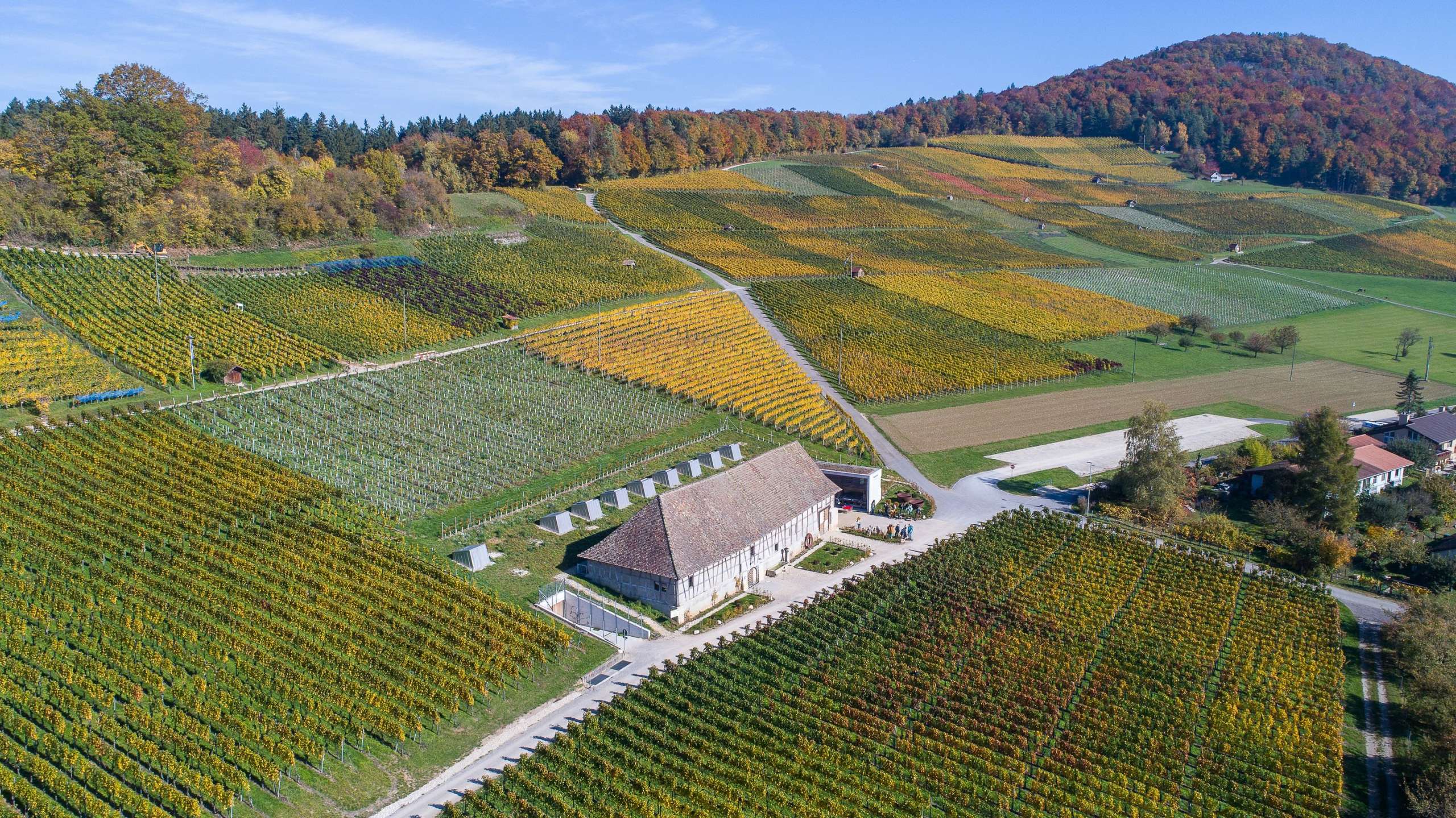 In 48 Stunden erleben