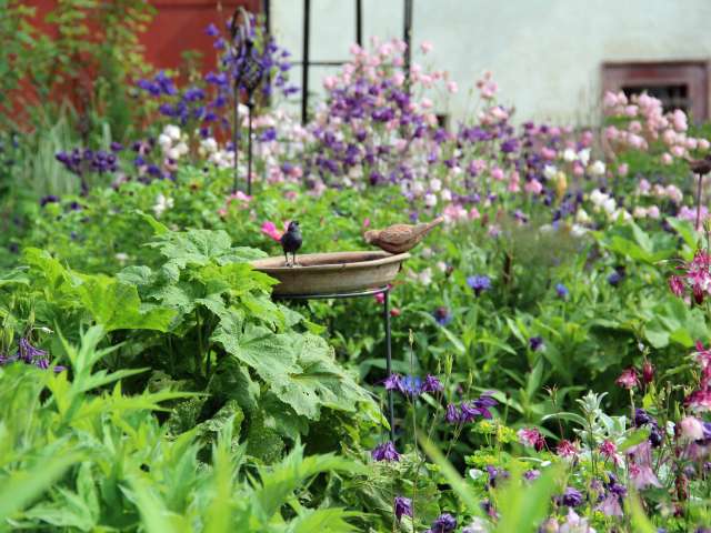 Gartenpfad Osterfingen