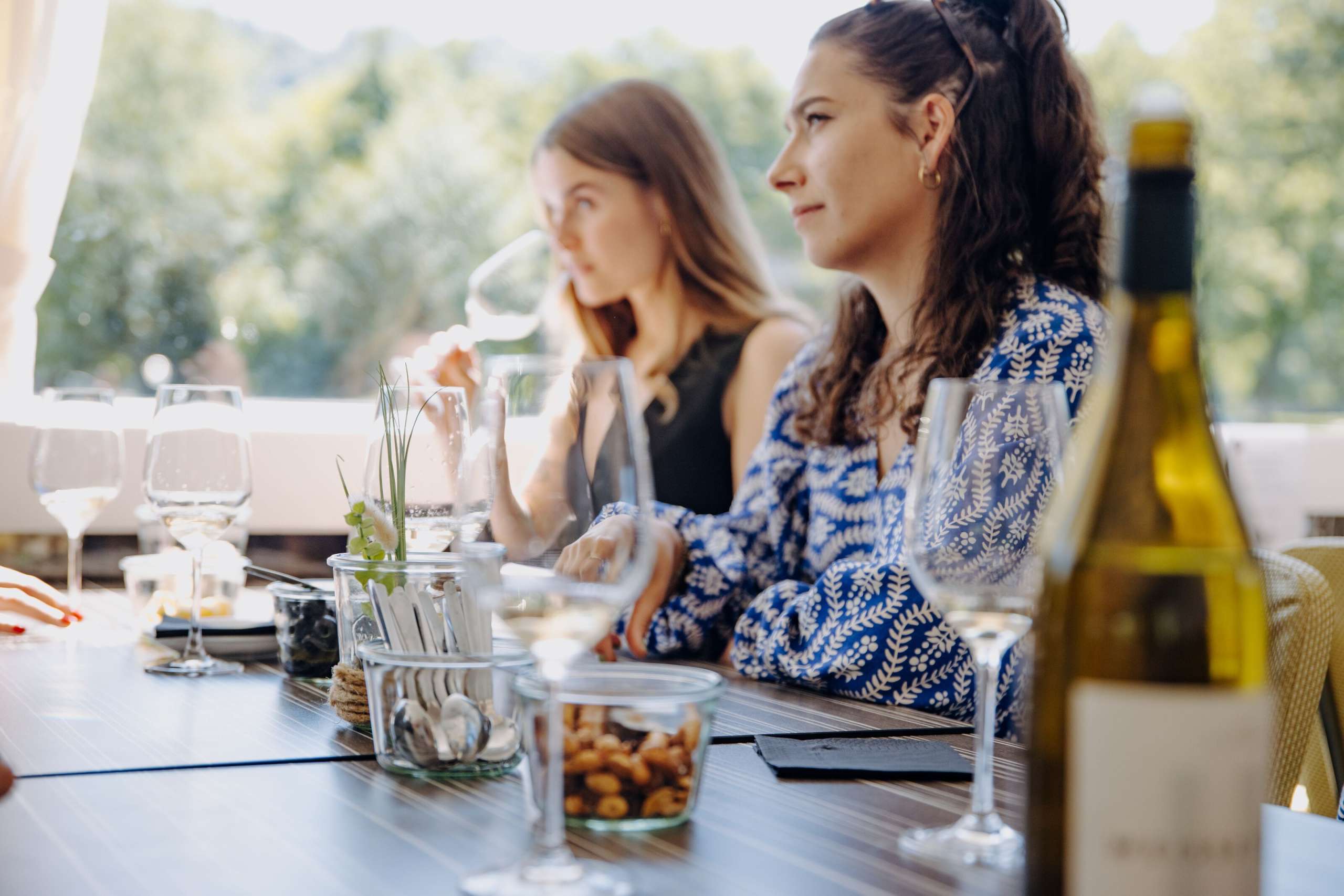 degustieren, Wein, degustation, Frühjahr, Frühsommer, Rhein, Mai, Frühling, Schifffahrt, Wii-Schiff, URh