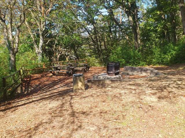 Grillplatz Chapf