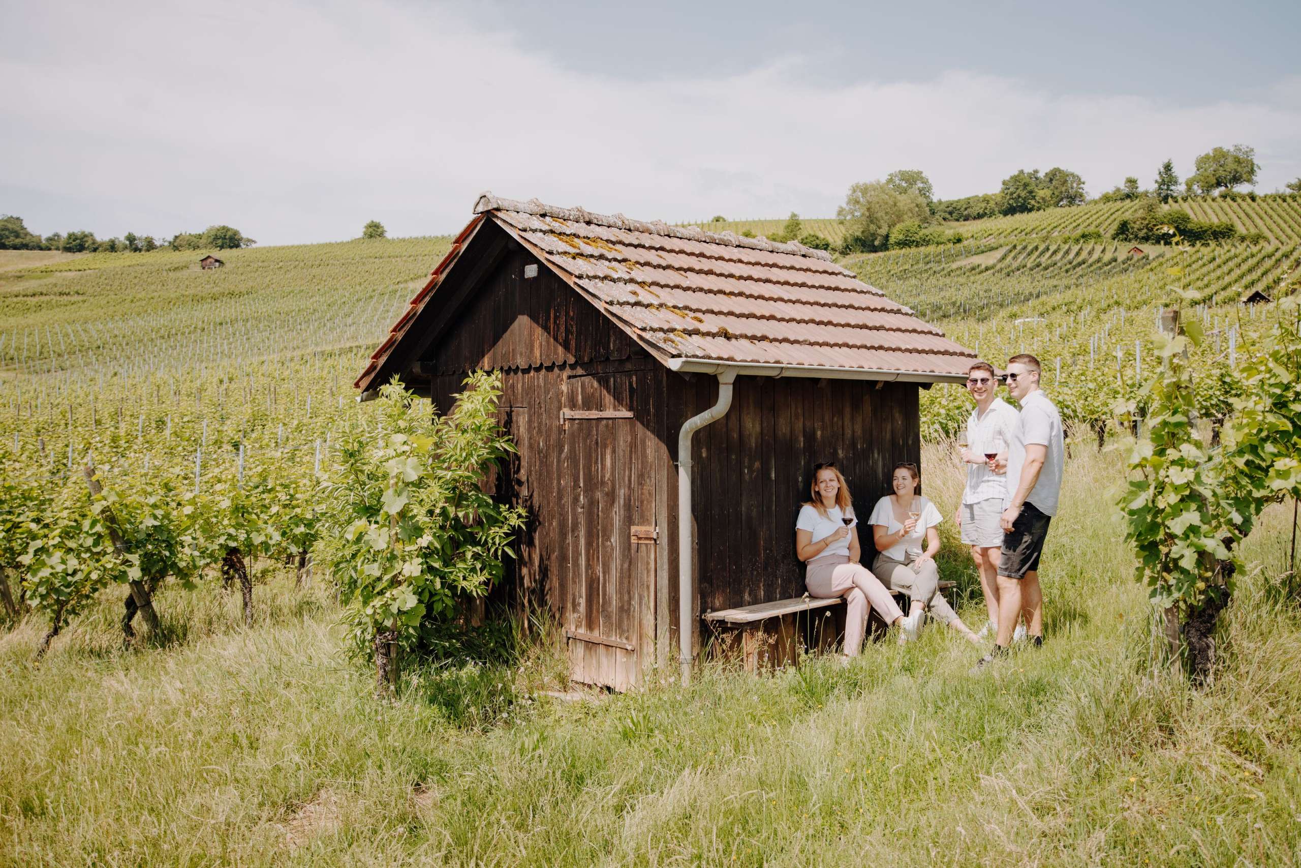 Räbhüüsli, Rebberg, Weinglas, Wein, Hallau, Räbhüüslifest, Reben, Ansossen