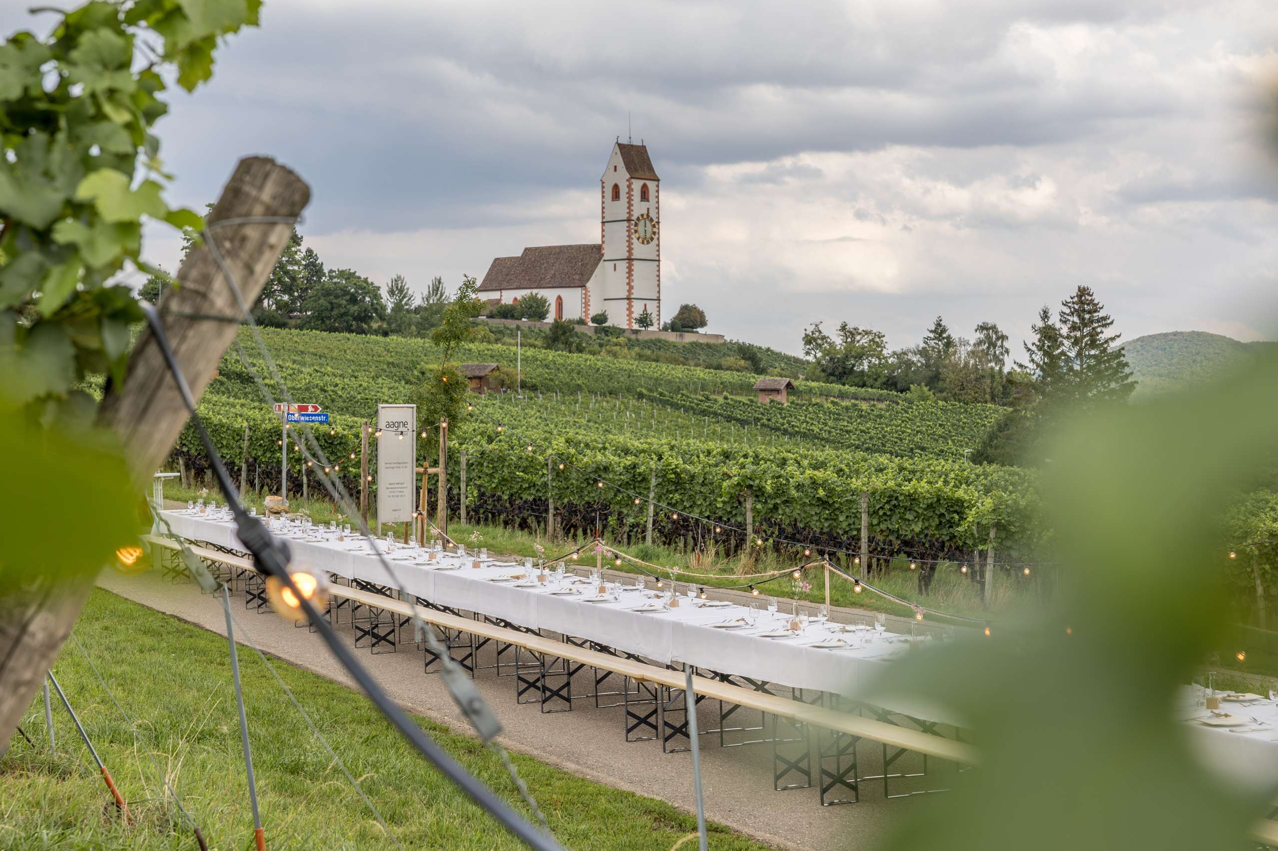 Weiss gedeckte Festbänke ergeben eine lange Tafel und stehen mitten in den Reben. Lichterketten sind an den Reben befestigt.