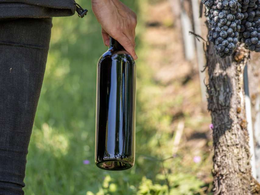 Medaillenspiegel Weine 2022